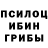 Псилоцибиновые грибы ЛСД Steven Clarke