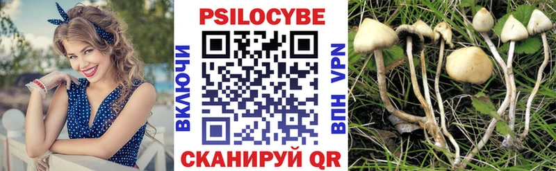 Галлюциногенные грибы Psilocybine cubensis  Дмитровск 